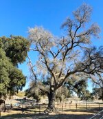 IMG_0949.jpeg