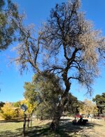 IMG_0951.jpeg