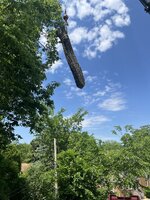 IMG_4513.jpeg