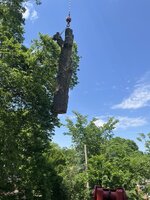 IMG_4515.jpeg