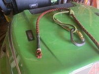 IMG_2779.jpeg