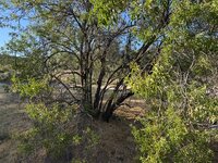 IMG_1052.jpeg