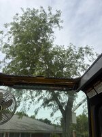 IMG_0538.jpeg