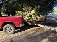 IMG_1055.jpeg