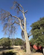 IMG_1053.jpeg