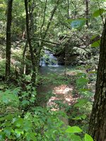 IMG_4090.jpeg