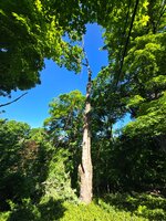 20260602_085847.jpg