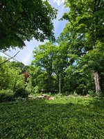20260602_133613.jpg