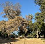 IMG_1073.jpeg