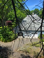 20260605_120354.jpg