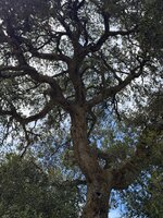 IMG_1133.jpeg