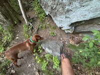 IMG_0743.jpeg
