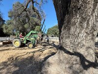 IMG_1218.jpeg