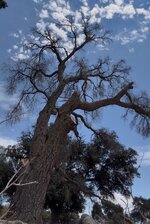 IMG_1236.jpeg