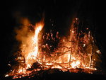 PC260070.JPG